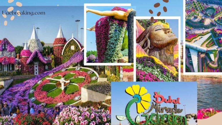 Miracle Garden