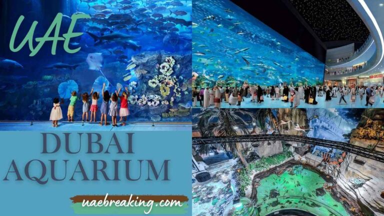 Dubai Aquarium