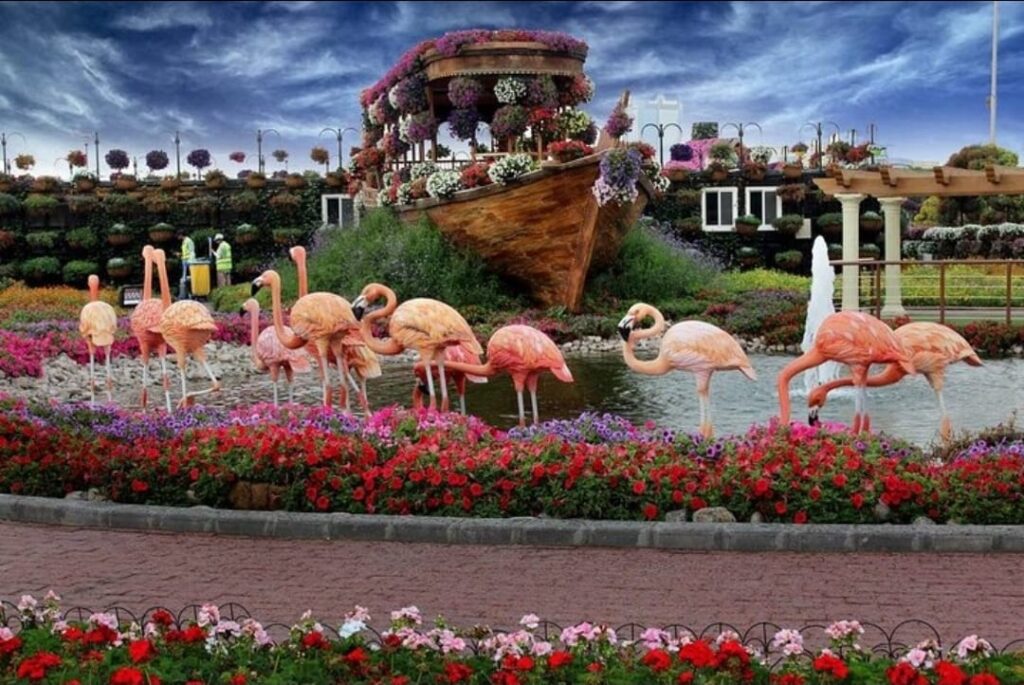 Miracle Garden
