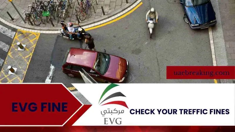 EVG Fine